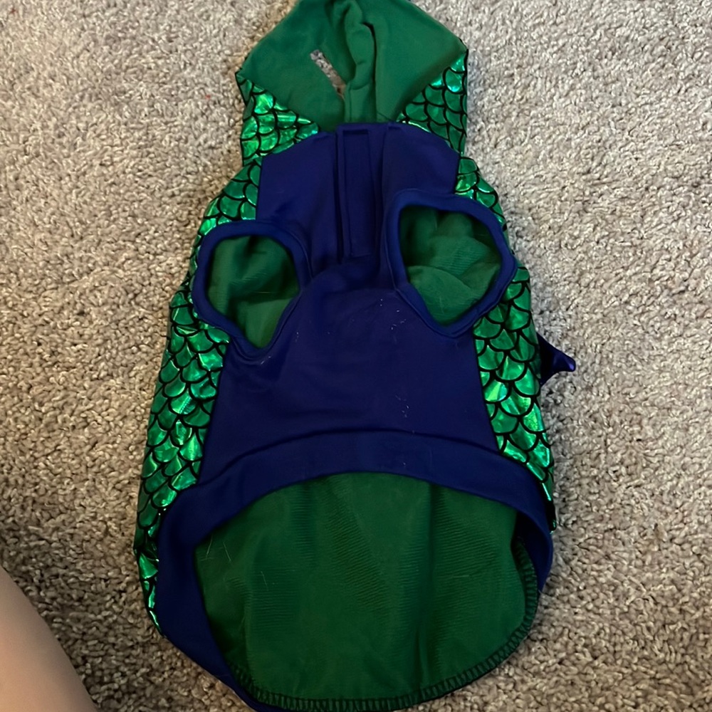Dog Halloween Costume - DRAGON